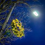 Streetlight Holiday Wreath_48067-9